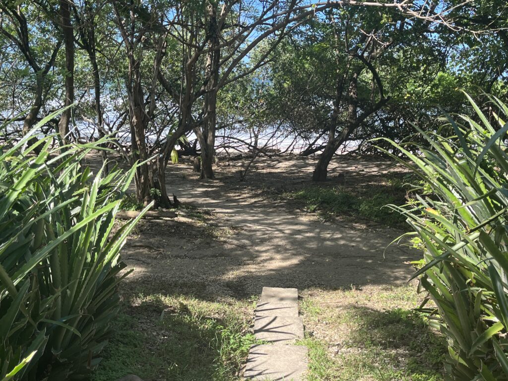 Beach gate to beach view (1)